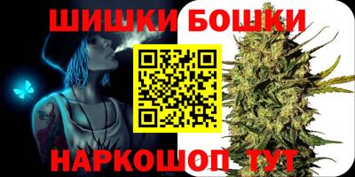 индика Северобайкальск