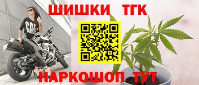 индика Северобайкальск