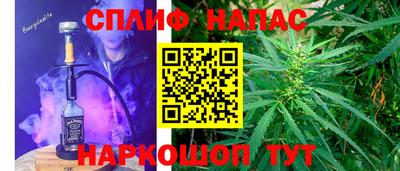 индика Северобайкальск