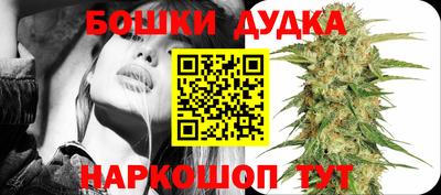 индика Северобайкальск