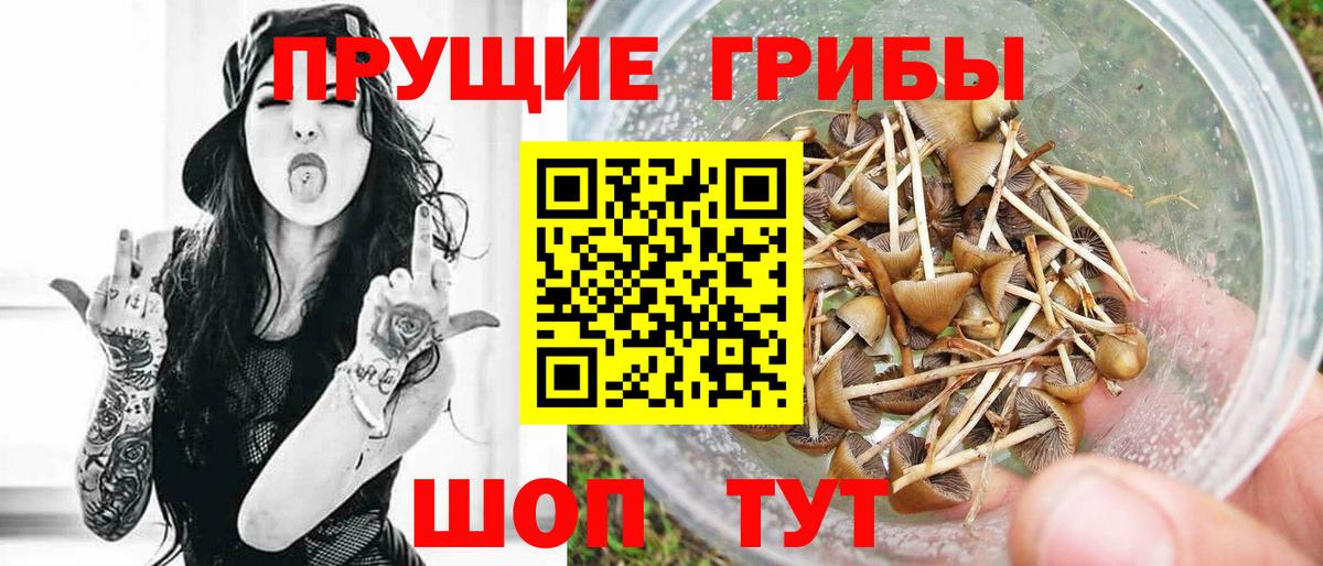 закладки  Псилоцибиновые грибы мицелий  Псилоцибиновые грибы мухоморы  Вход с VPN  Рузаевка 