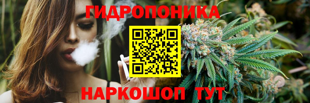 Бошки марихуана AK-47  Вход с VPN  Бошки марихуана тримм  Рузаевка  Марихуана Ganja 